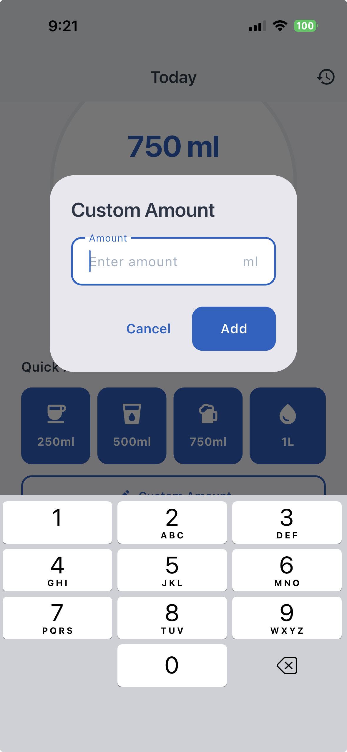 Custom amount entry